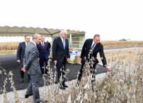 Ilham Aliyev visits “Qarabag Taxil” LLC pilot grain farm in Beylagan