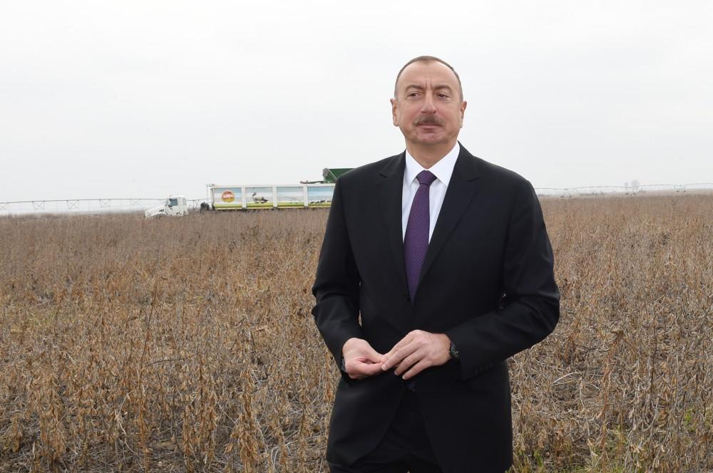 Ilham Aliyev visits “Qarabag Taxil” LLC pilot grain farm in Beylagan