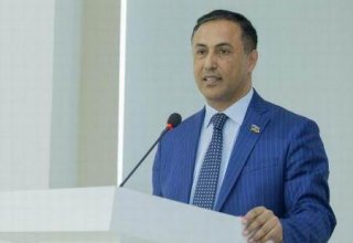 Тандем ПНФА-"Мусават" не имеет никакого морального права обвинять власти Азербайджана - депутат