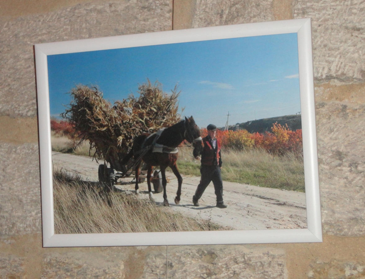 "Молдова. О людях и о земле": выставка фотографа Анатоля Поятэ в Баку (ФОТО)