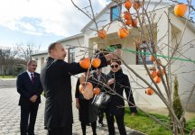 Президент Азербайджана и его супруга ознакомились со строительством и восстановлением домов, пострадавших в результате армянского обстрела в Агдаме (ФОТО) (версия 2)
