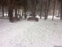 Cнежный пейзаж Баку (ФОТО)