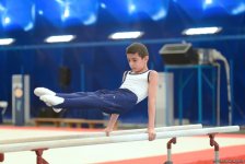 İlin son gimnastika yarışı başladı (FOTO)