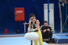 Стартовали чемпионаты Азербайджана по спортивной и акробатической гимнастике (ФОТО)