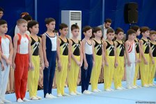 İdman və akrobatika gimnastikası üzrə Azərbaycan çempionatının ilk günü yekunlaşdı (FOTO)