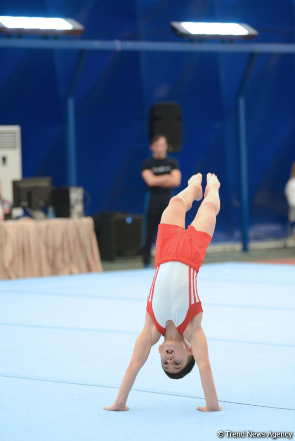 Стартовали чемпионаты Азербайджана по спортивной и акробатической гимнастике (ФОТО)