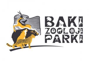 Bakı Zooloji Parkının yeni loqosu təqdim edilib (FOTO)
