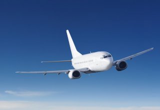Gürcüstan "Boeing 737 Max"ların ölkənin hava məkanında uçuşunu qadağan etdi