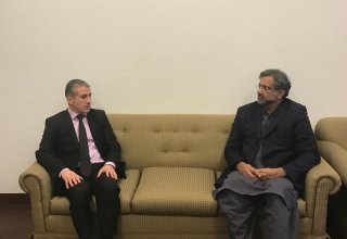 Торгово-экономическая миссия Азербайджана посетит Пакистан