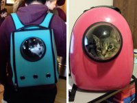 Рюкзак с окном-иллюминатором для домашнего животного (ФОТО)