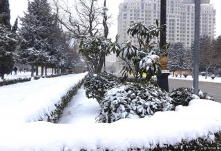 Снег в Баку (ФОТОСЕССИЯ)