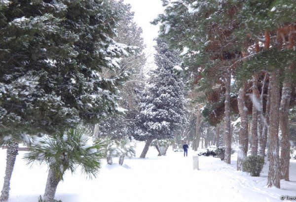 Когда за последние 20 лет в Баку выпал самый ранний первый снег?