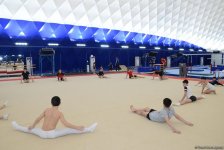 Азербайджанские спортсмены готовятся к Кубку мира по спортивной гимнастике (ФОТОРЕПОРТАЖ)