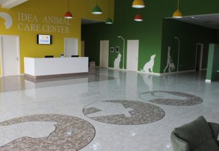 IDEA Animal Care Center officially begins to operate in Baku (PHOTO)