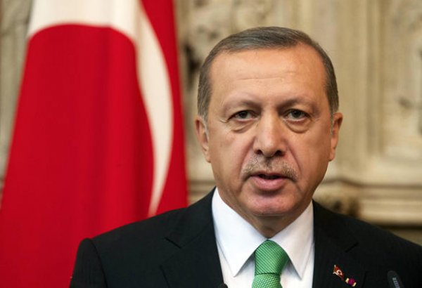 Эрдоган передал свои полномочия спикеру парламента Турции