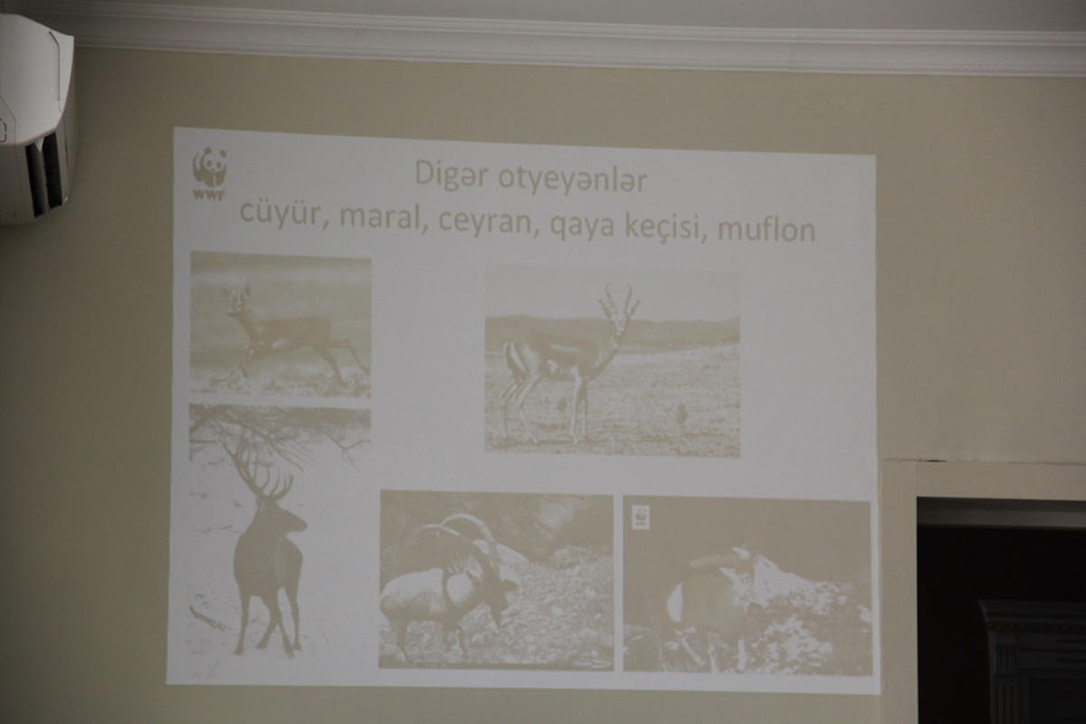 В рамках проекта «Ответственная охота на страже биоразнообразия» в районах проведены семинары (ФОТО)
