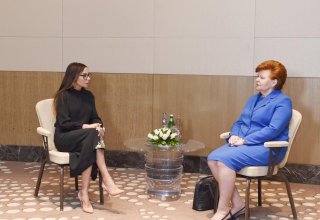 Первый вице-президент Азербайджана Мехрибан Алиева встретилась с экс-главой Латвии (ФОТО)