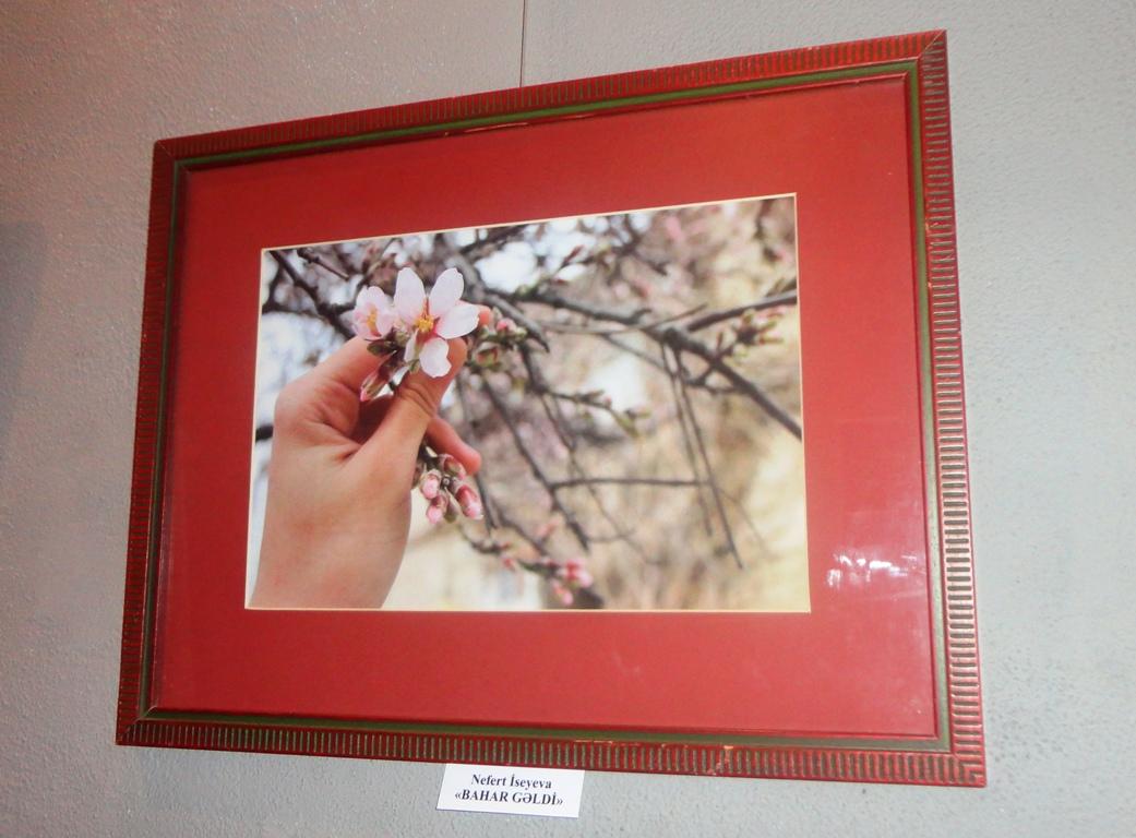 Время ярких цветов и романтики: открытие выставки Baku. Spring. Love (ФОТО)