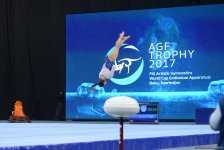 Четвертый день соревнований Кубка мира по спортивной гимнастике в Баку в фотографиях