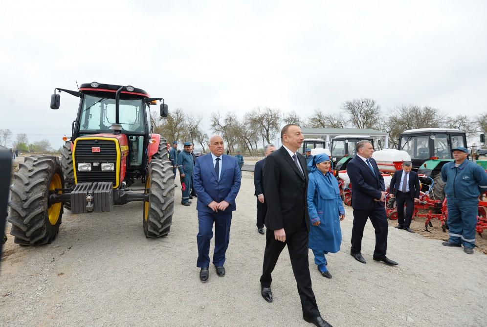 Президент Ильхам Алиев ознакомился с хлопковым полем в Саатлинском районе (ФОТО)