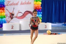 Bədii gimnastika üzrə "Zabrat Kuboku" açıq birinciliyi keçirilib (FOTO)
