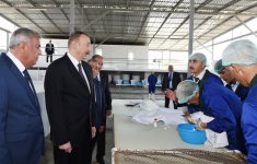 President Aliyev attended opening of Varvara fish hatchery (PHOTO)