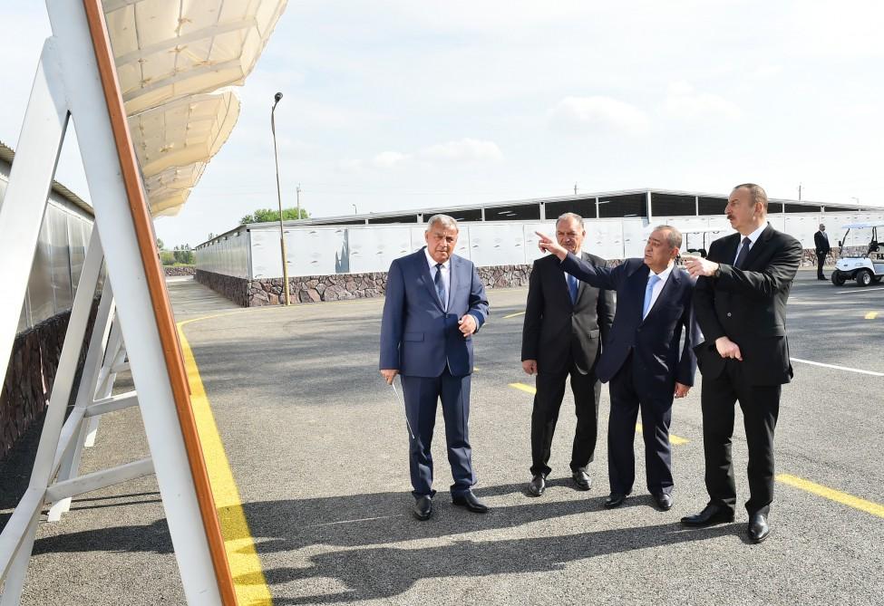 Prezident İlham Əliyev Varvara balıqartırma müəssisəsinin açılışında iştirak edib (FOTO) (YENİLƏNİB)