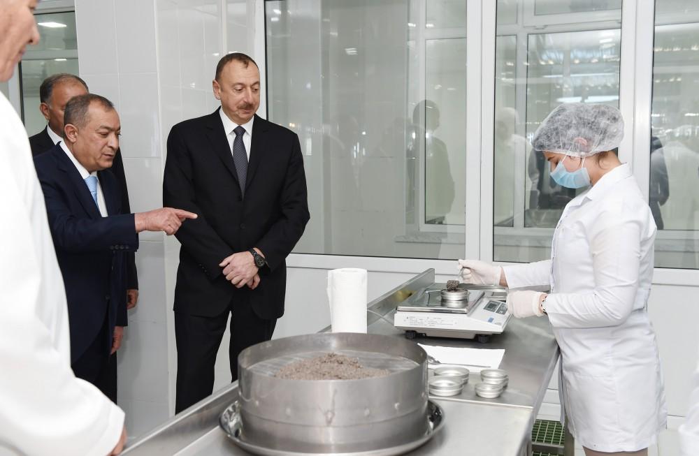 President Aliyev attended opening of Varvara fish hatchery (PHOTO)