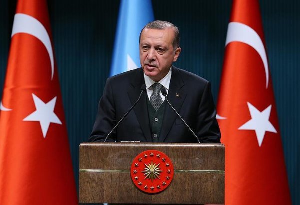 Эрдоган заявил о сохраняющемся присутствии сторонников FETO в госучреждениях