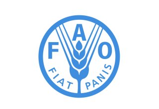 FAO talks co-op priorities within joint secretariat with Azerbaijan, WHO