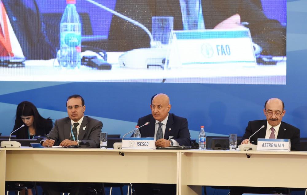 Первый вице-президент Мехрибан Алиева: Азербайджан, являющийся членом как исламских, так и европейских организаций, объединяет в себе ценности многочисленных цивилизаций (ФОТО) (версия 2) - Gallery Image