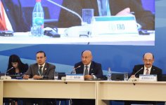 Первый вице-президент Мехрибан Алиева: Азербайджан, являющийся членом как исламских, так и европейских организаций, объединяет в себе ценности многочисленных цивилизаций (ФОТО) (версия 2) - Gallery Thumbnail