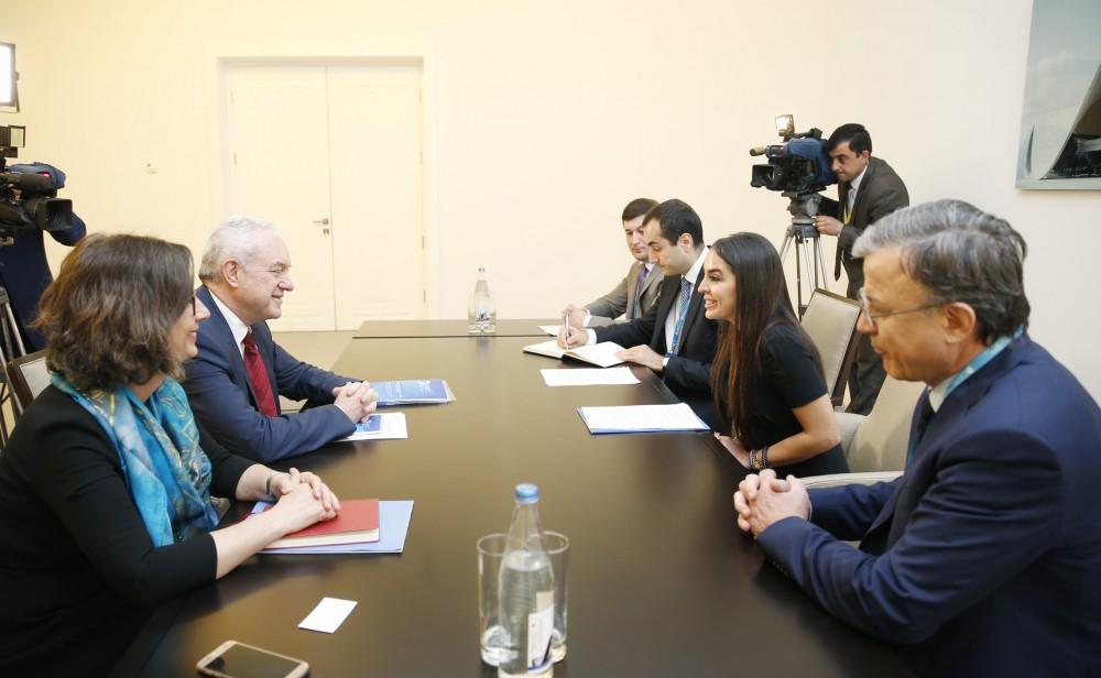 Вице-президент Фонда Гейдара Алиева Лейла Алиева встретилась с главой кабинета FAO (ФОТО)