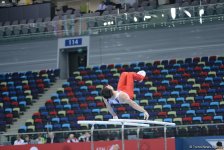 Bakı-2017: İdman gimnastlarının podium məşqləri (FOTOREPORTAJ)