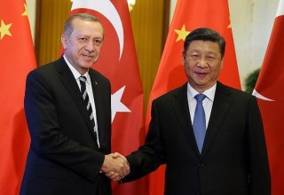 Cumhurbaşkanı Erdoğan Çin Devlet Başkanı Şi ile görüştü