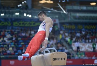 Azerbaijani gymnast wins pommel horse gold at Baku 2017