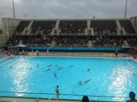 Baku 2017: Azerbaijani water polo players defeat Indonesian team (PHOTO)