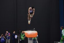 Baku 2017: Final day of artistic gymnastics competitions in photos