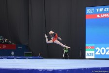 Baku 2017: Final day of artistic gymnastics competitions in photos