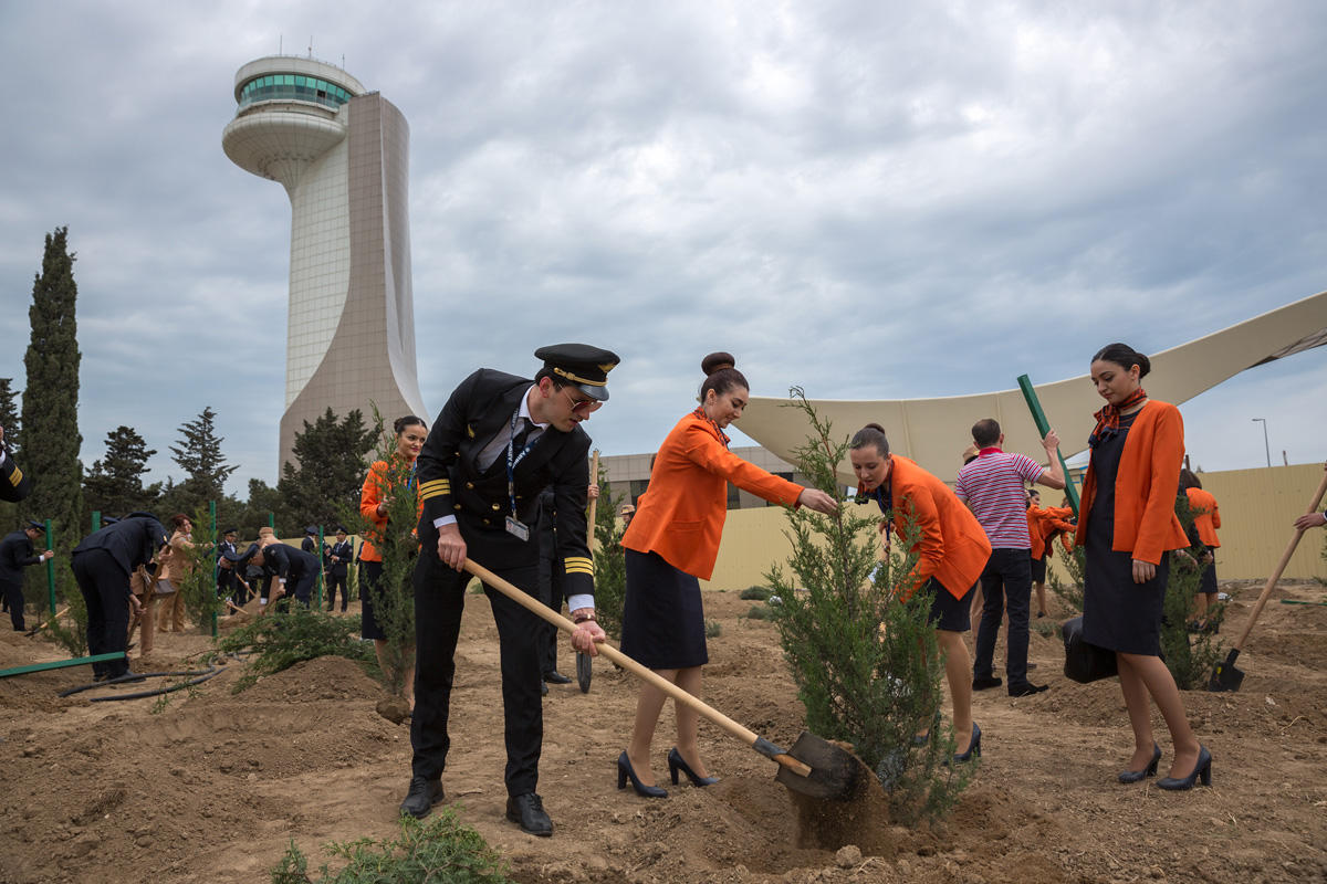 В Международном аэропорту Гейдар Алиев прошла акция по посадке деревьев (ФОТО) - Gallery Image