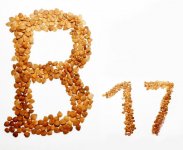 Витамин B17 против рака (ФОТО)
