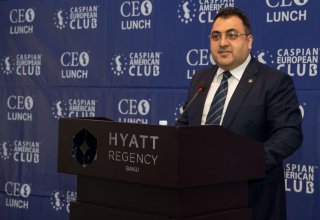 Fourth CEO Lunch hosted in Baku (PHOTO)