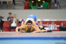 Baku 2017 freestyle wrestling competitions in photos