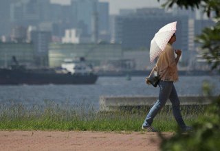 В Японии в воскресенье из-за жары госпитализировали почти 30 человек
