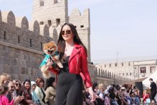 Уникальная коллекция для домашних питомцев Pet Fashion Show by NELYA  представлена в Баку (ФОТО) - Gallery Thumbnail