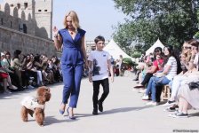 Уникальная коллекция для домашних питомцев Pet Fashion Show by NELYA  представлена в Баку (ФОТО)