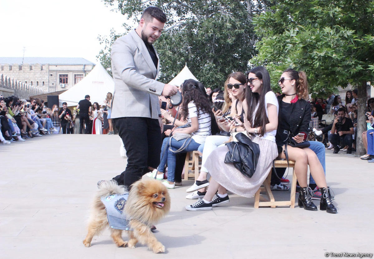 Уникальная коллекция для домашних питомцев Pet Fashion Show by NELYA  представлена в Баку (ФОТО)