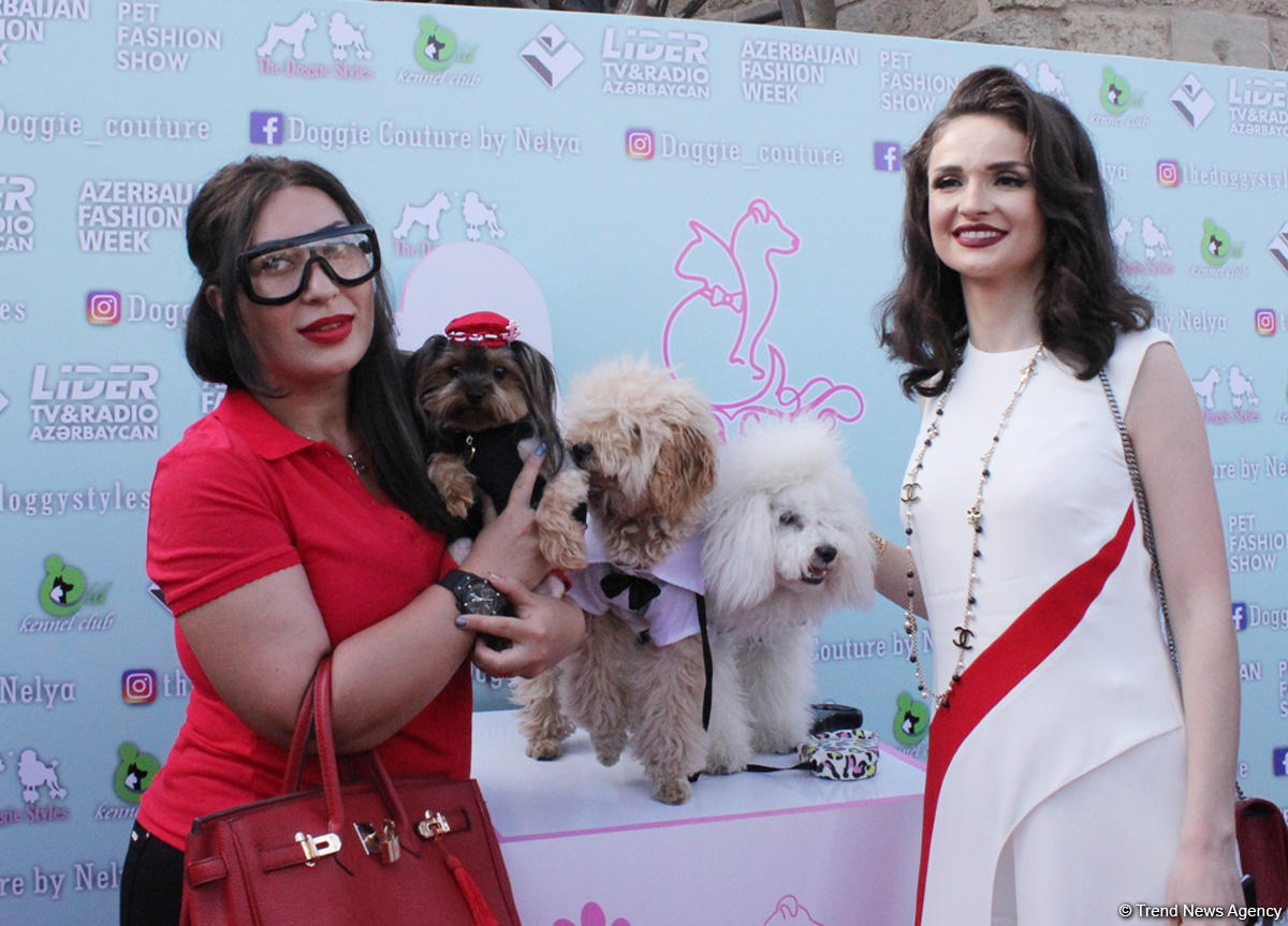 Уникальная коллекция для домашних питомцев Pet Fashion Show by NELYA  представлена в Баку (ФОТО) - Gallery Image
