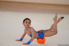В Кюрдамире проходит III Кубок города по художественной гимнастике (ФОТО)