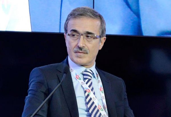 Председатель Комитета оборонной промышленности Турции: Все наши возможности и вооружения в распоряжении Азербайджана